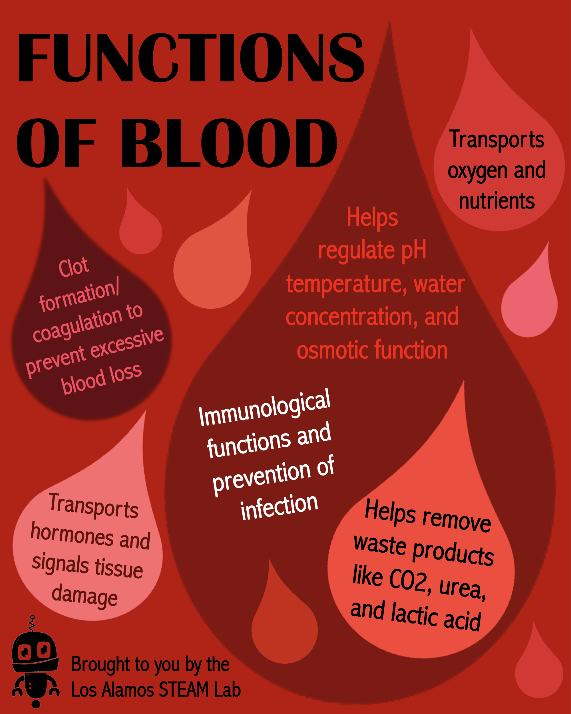 What Is Blood Write Function Of Blood