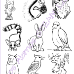 Critters from the Jemez Mountains